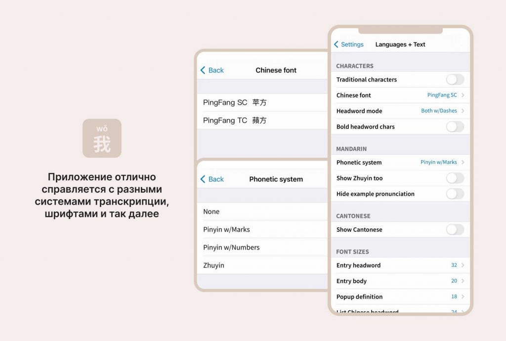 Скриншоты для демонстрации смены типа в приложении Pleco